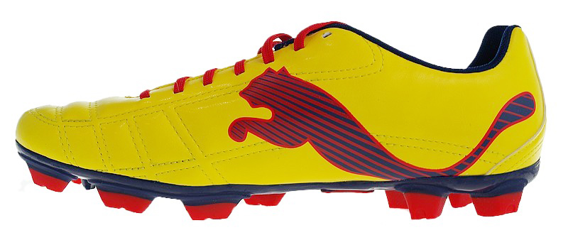 BUTY PUMA EVO SPEED 6 FG JR /102746 04 - obrazek 4