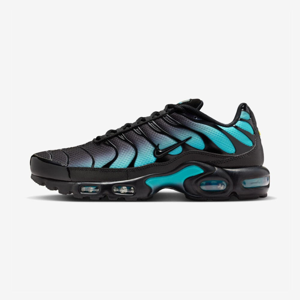 Buty Nike Air Max Plus TN Czarny, zielony Dusty Cactus DM0032-016