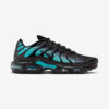 Buty Nike Air Max Plus TN Czarny, zielony Dusty Cactus DM0032-016